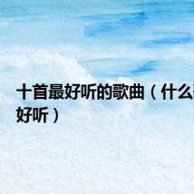 十首最好听的歌曲（什么歌曲最好听）