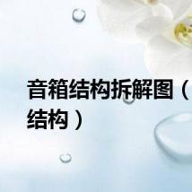 音箱结构拆解图（音箱结构）