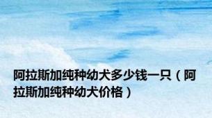 阿拉斯加纯种幼犬多少钱一只（阿拉斯加纯种幼犬价格）