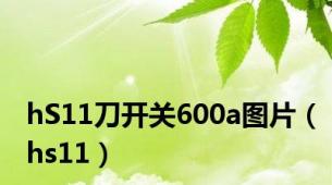 hS11刀开关600a图片（hs11）