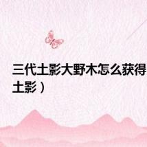三代土影大野木怎么获得（三代土影）