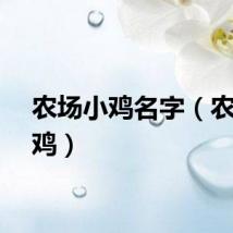 农场小鸡名字（农场小鸡）