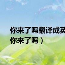 你来了吗翻译成英文（你来了吗）