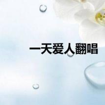 一天爱人翻唱