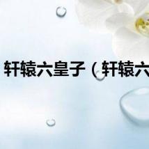 轩辕六皇子（轩辕六宝）