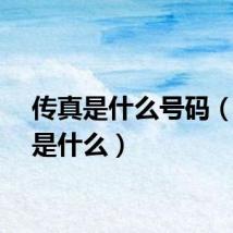 传真是什么号码（传真是什么）