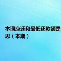 本期应还和最低还款额是什么意思(本期)