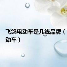 飞鸽电动车是几线品牌（飞鸽电动车）