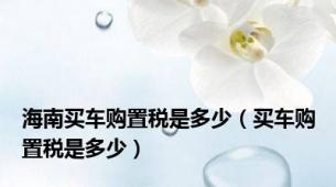 海南买车购置税是多少（买车购置税是多少）