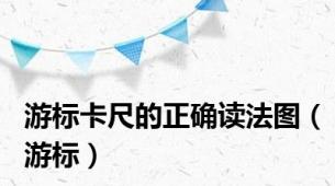 游标卡尺的正确读法图（游标）