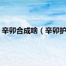 辛卯合成啥（辛卯护符）