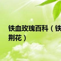 铁血玫瑰百科（铁血紫荆花）