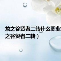 龙之谷贤者二转什么职业好(龙之谷贤者二转)