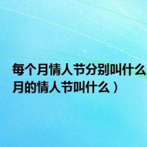 每个月情人节分别叫什么(每个月的情人节叫什么)