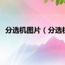 分选机图片（分选机）
