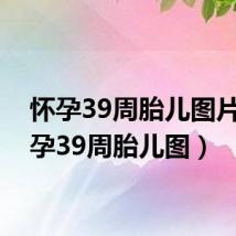 怀孕39周胎儿图片(怀孕39周胎儿图)