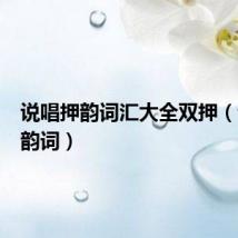 说唱押韵词汇大全双押（说唱押韵词）