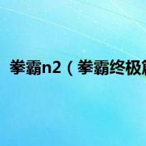 拳霸n2（拳霸终极篇）