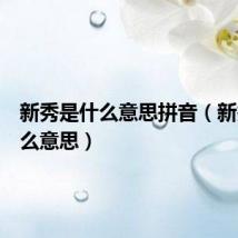 新秀是什么意思拼音(新秀是什么意思)