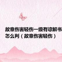 故意伤害轻伤一级有谅解书一般会怎么判(故意伤害轻伤)