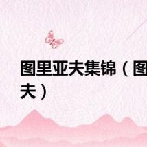 图里亚夫集锦（图里亚夫）