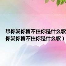 想你爱你留不住你是什么歌名(想你爱你留不住你是什么歌)