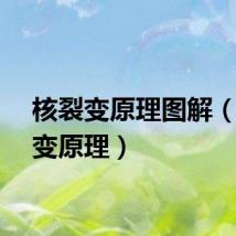 核裂变原理图解（核裂变原理）