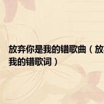 放弃你是我的错歌曲(放弃你是我的错歌词)
