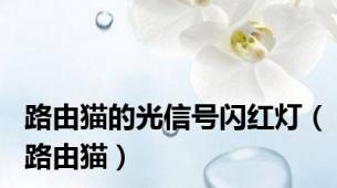 路由猫的光信号闪红灯（路由猫）