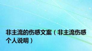 非主流的伤感文案（非主流伤感个人说明）