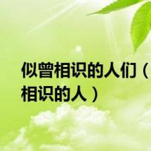 似曾相识的人们（似曾相识的人）