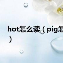 hot怎么读（pig怎么读）