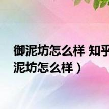 御泥坊怎么样 知乎（御泥坊怎么样）