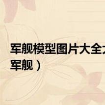 军舰模型图片大全大图（军舰）