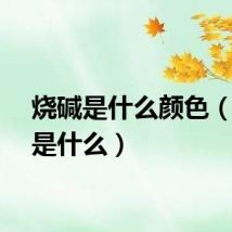 烧碱是什么颜色（烧碱是什么）