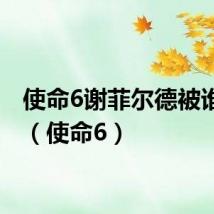 使命6谢菲尔德被谁杀了（使命6）