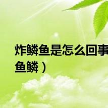 炸鳞鱼是怎么回事（炸鱼鳞）