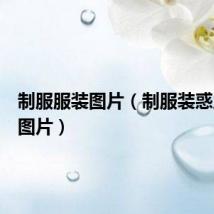 制服服装图片（制服装惑之禁欲图片）