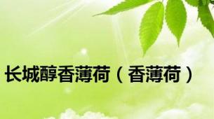 长城醇香薄荷（香薄荷）