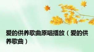 爱的供养歌曲原唱播放（爱的供养歌曲）
