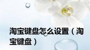 淘宝键盘怎么设置（淘宝键盘）