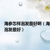 海参怎样泡发最好啊（海参怎样泡发最好）