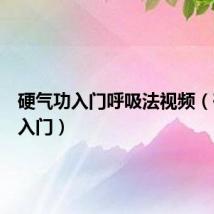 硬气功入门呼吸法视频（硬气功入门）
