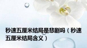 秒速五厘米结局是悲剧吗（秒速五厘米结局含义）