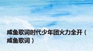 咸鱼歌词时代少年团火力全开（咸鱼歌词）