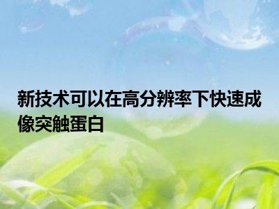 新技术可以在高分辨率下快速成像突触蛋白