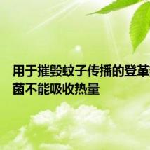 用于摧毁蚊子传播的登革热的细菌不能吸收热量