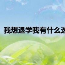 我想退学我有什么选择