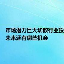 市场潜力巨大幼教行业投资热的未来还有哪些机会