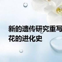 新的遗传研究重写了天花的进化史